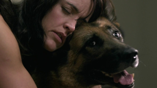 Supernatural S06E08 - All Dogs Go to Heaven (2010)